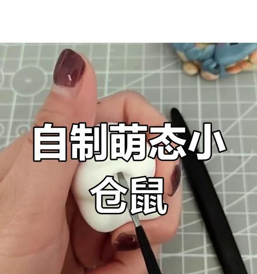 如何照顾小仓鼠（了解小仓鼠的需求，打造舒适家园）