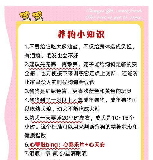 狗驱虫后的适当喂食时间与方法（照顾宠物狗的正确喂食方式与注意事项）