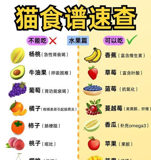 猫咪进食时间究竟需要多久？（揭秘猫咪吃饭的时间规律，一起了解它们的饮食习惯）