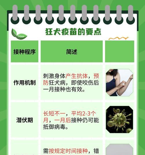 狗狗疫苗保质期解析（了解狗狗疫苗保质期的重要性及其关键因素）