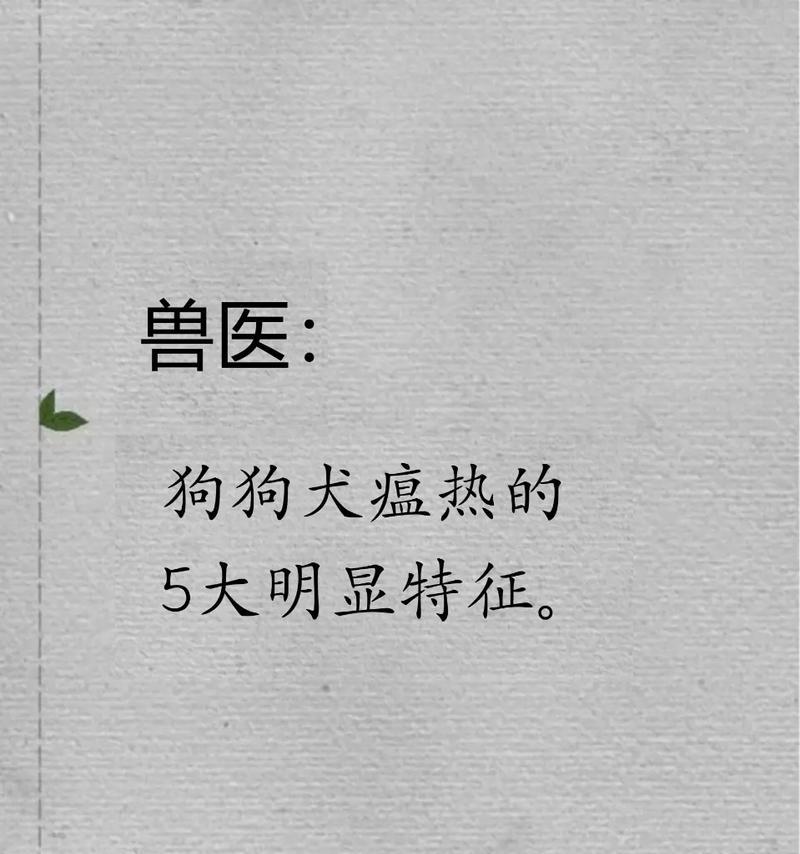 狗瘟（了解狗瘟的康复过程及关键因素）