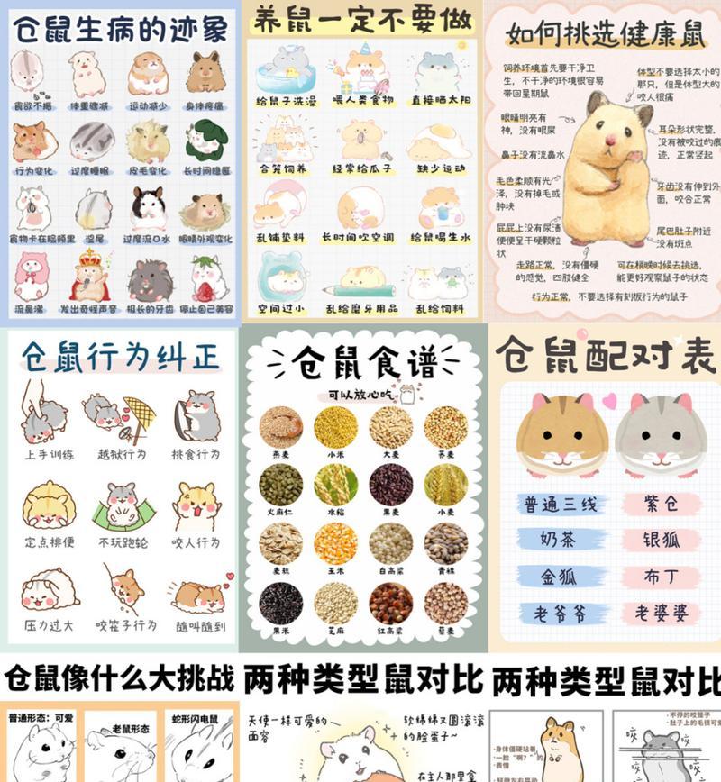 仓鼠的正确饮水方式（保证宠物仓鼠健康幸福的喝水习惯）