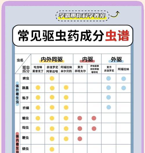 英牛狗驱虫周期及注意事项（养犬人必知的驱虫常识）