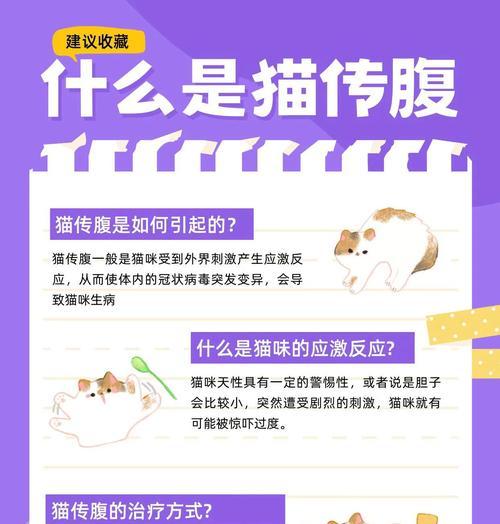 以猫传腹传多久会死的真相（揭秘猫传腹传致命时间及其危害）