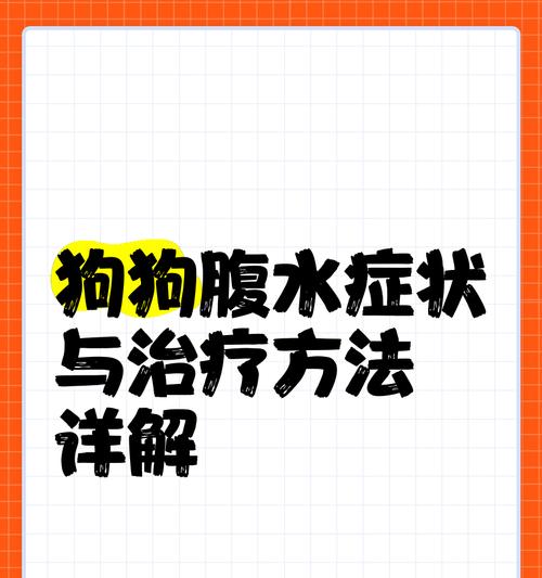 金毛肝腹水治疗全攻略（掌握关键，有效治愈金毛肝腹水）