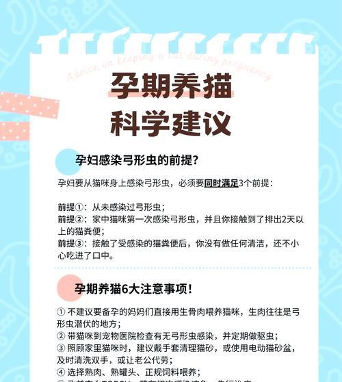 猫咪怀孕多久能查出来？（了解猫咪怀孕的时间周期及早期检测方法）