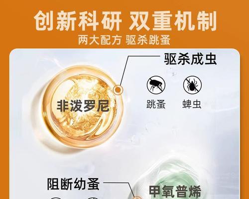 以福来恩幼犬的成长时间和培养方法（探索幼犬成长的时间表和有效培养策略）
