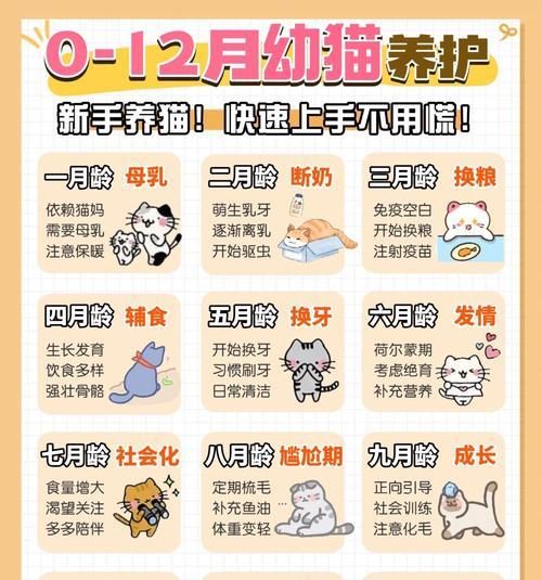 以猫驱虫后多久喂食（驱虫后猫咪的饮食安排与注意事项）