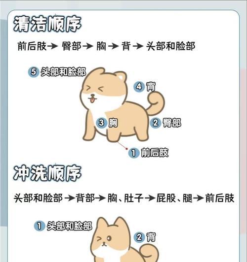 狗狗第三针后多久可以洗澡？（给狗狗洗澡的最佳时间和注意事项）