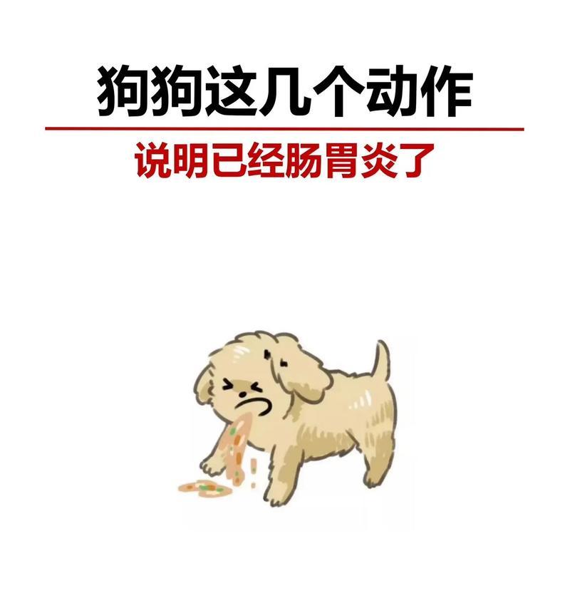 狗狗干呕胃液的原因及处理方法（了解狗狗胃酸倒流引起的干呕症状，保护它们的健康）