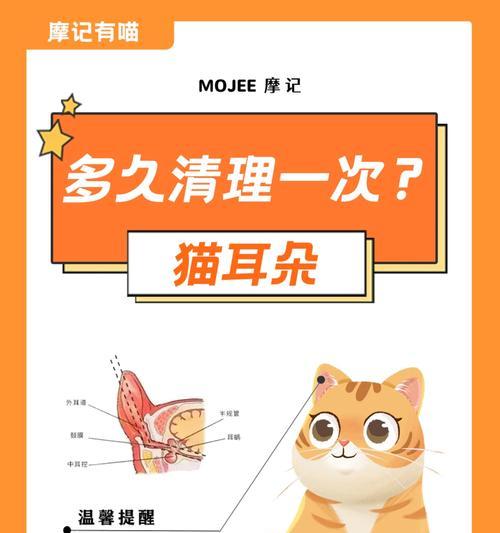 如何正确清洁猫耳朵（了解清洁猫耳朵的工具和步骤，让你的宠物更健康）