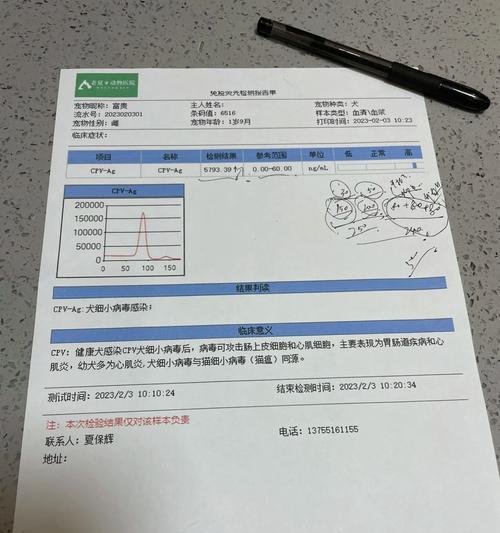 狗狗细小排毒时间及相关注意事项（探究狗狗细小排毒的时间长度以及保健方法）