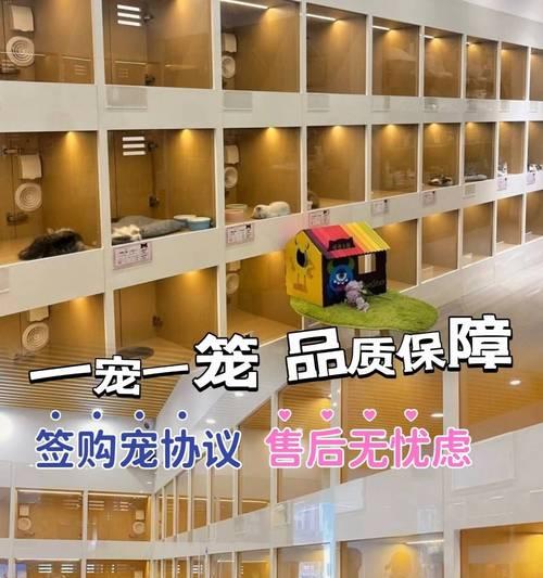 贵阳市买狗市场调查报告（揭示贵阳市买狗市场情况的真相）
