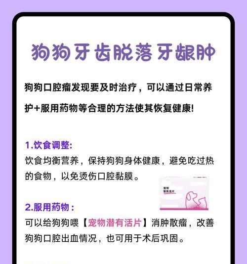 如何处理狗狗过于尖锐的牙齿（狗狗磨牙的注意事项和解决方案）