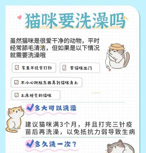 如何恰当给猫洗澡（建议、频率和步骤详解）