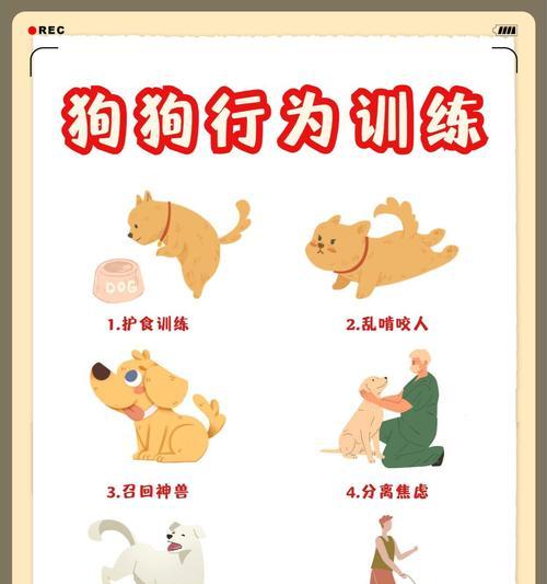 拥有这些狗狗，再也不用担心家里被拆！（聪明乖巧的狗狗品种及训练秘诀）