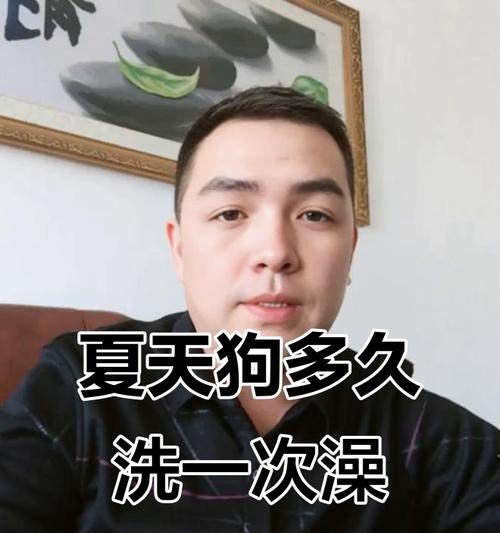 贵宾犬洗澡的最佳频率（了解贵宾犬洗澡的正确频率，保持它们的毛发和皮肤的健康）