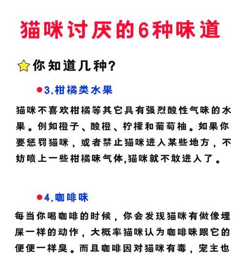 揭秘猫咪的5大恐惧之源（解读猫咪的内心世界，看清5个让它们害怕的事情）