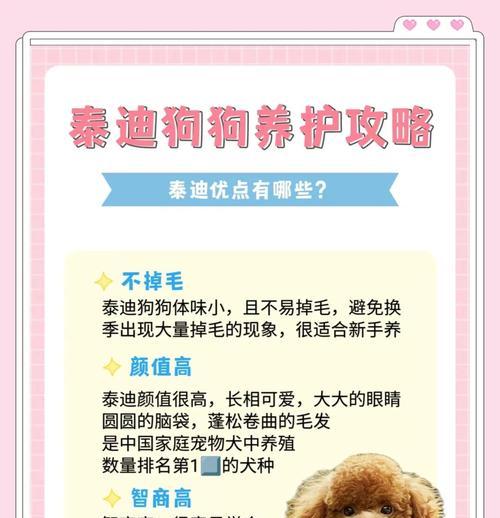 泰迪犬生完宝宝多久能洗澡？（了解适时洗澡，宝宝健康更重要）
