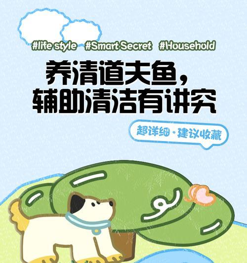 以鱼清道夫的食物选择（多样化的清道夫食谱）