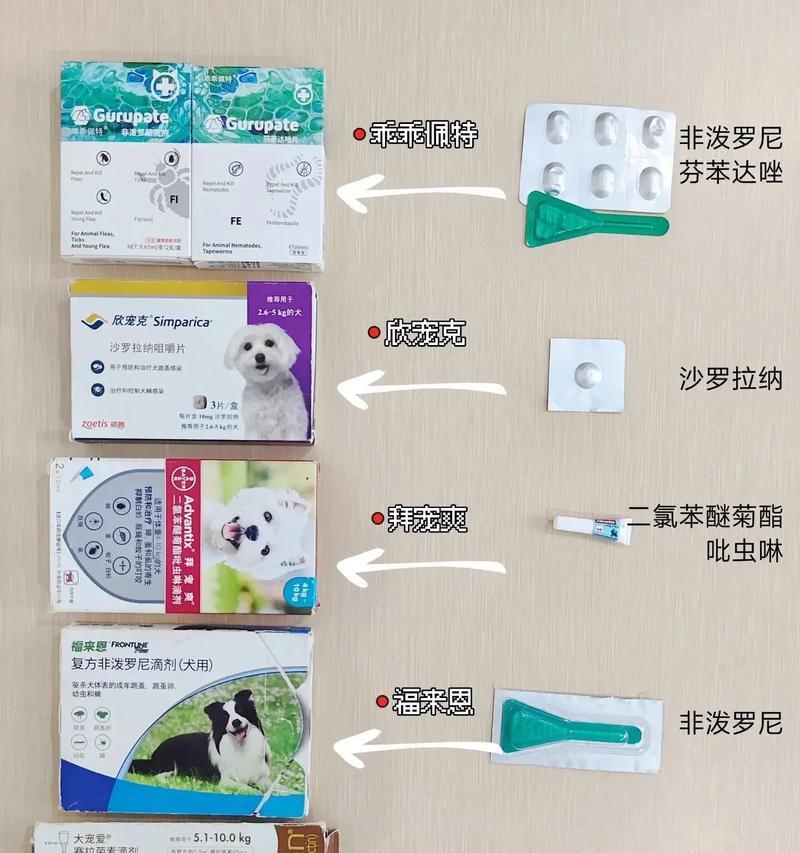 狗狗驱虫片使用频率解析（了解狗狗驱虫片的正确用法，守护宠物健康）