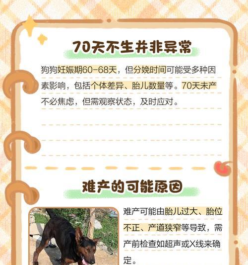 狗狗剖腹产费用及前期症状详解（了解狗狗剖腹产的费用和前期症状，为宠物健康做好准备）
