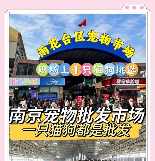 江阴宠物市场概况（江阴宠物市场的多样性和便利性）