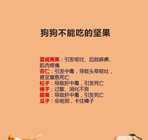 狗狗不吃不喝能撑多久？（探究狗狗身体需要水和食物的重要性与撑过饥渴的极限）