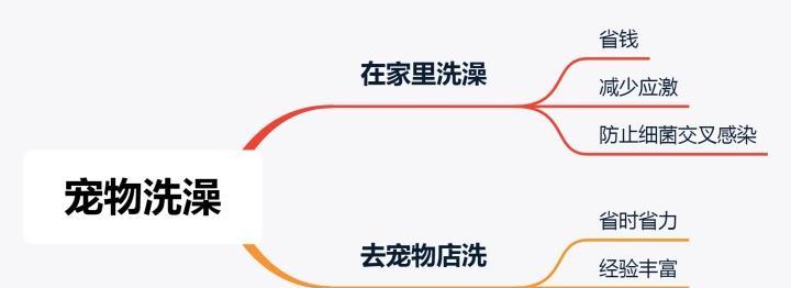宠物店洗澡频率的选择（宠物洗澡周期的重要性及其影响因素）