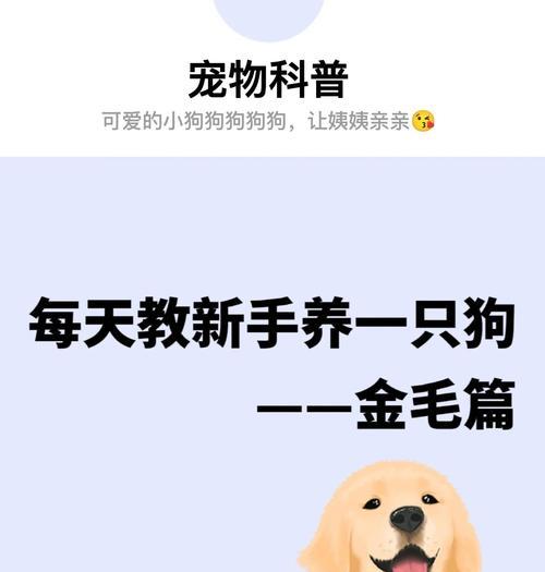 金毛犬的繁殖周期及生育频率（了解金毛犬的生育间隔以及如何合理安排繁殖计划）