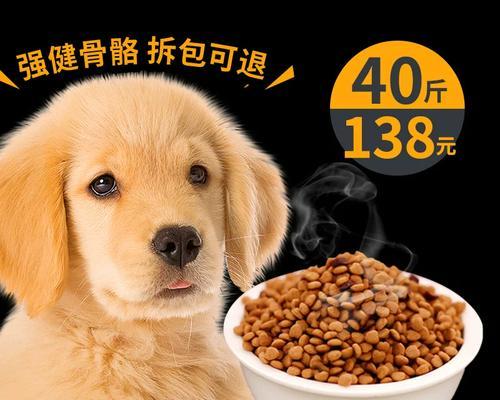 金毛的喂养方法（为您解答金毛犬饮食的疑问，让它健康快乐成长）