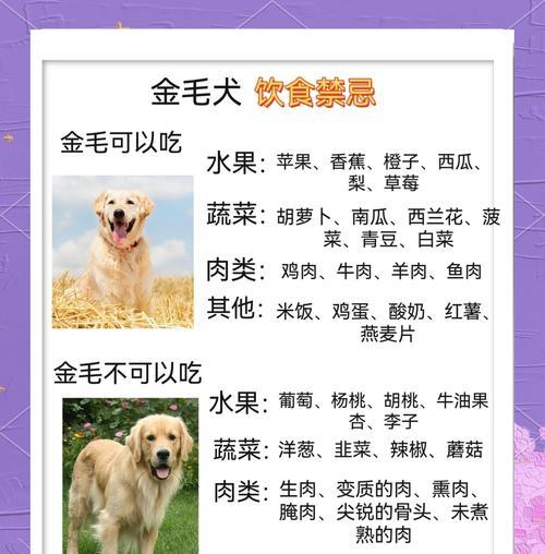 金毛疫苗接种频率（以金毛多久打一次疫苗？）