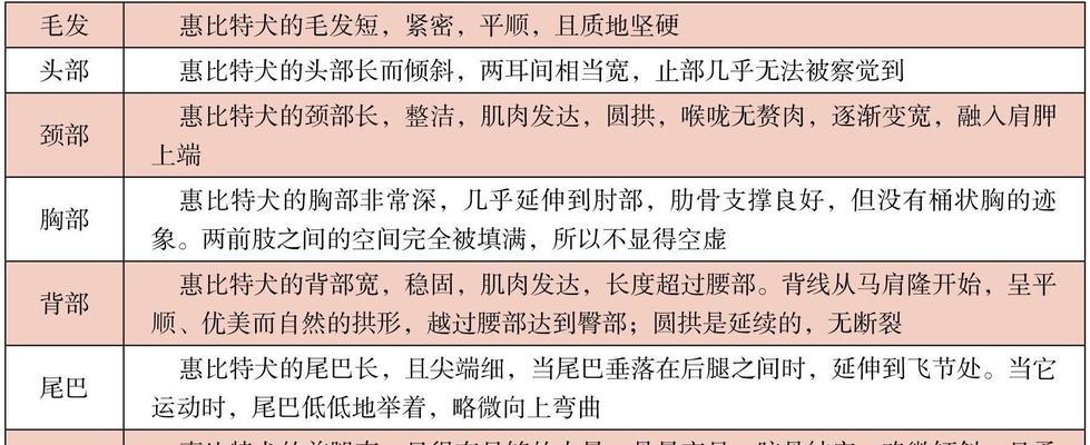 如何判断狗狗是否是优秀的伴侣犬（选择合适的狗狗伴侣，让你的生活更美好）