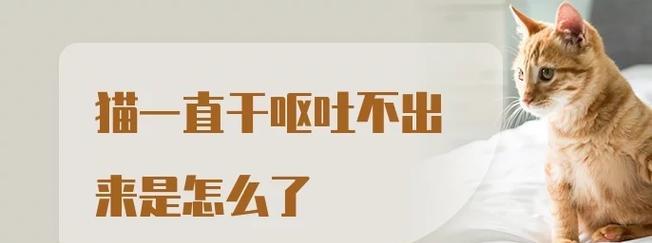 毛肠炎手术后康复时间及注意事项（了解毛肠炎手术后的康复周期和必要的预防措施）