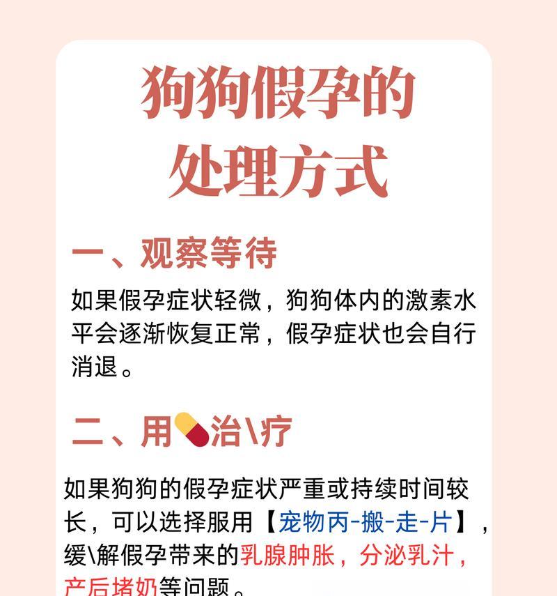 狗假怀孕如何恢复正常？（了解狗假怀孕的原因与治疗方法）