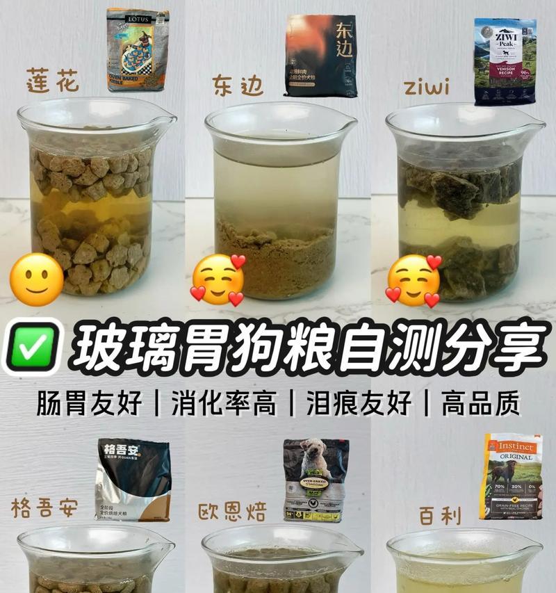 狗粮泡泡的正确时间（宠物狗每日狗粮的泡制方法与注意事项）