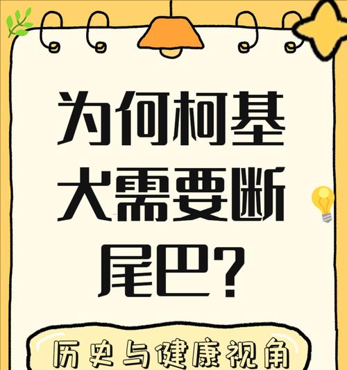 柯基犬肠胃问题的分析与解决方法（柯基拉稀的原因及有效应对策略）