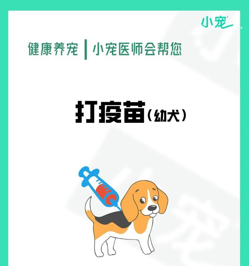 狗狗驱虫与疫苗（狗狗驱虫和疫苗的重要性及应注意的事项）