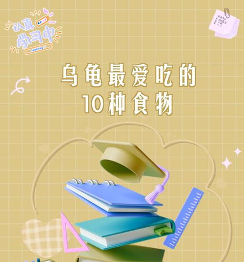淡水龟的饮食需求及喂养方法（了解淡水龟的食物选择和喂食技巧，让它健康成长）