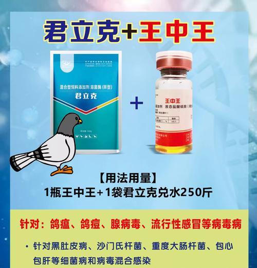 了解信鸽常见疾病（保护信鸽健康的必备知识）
