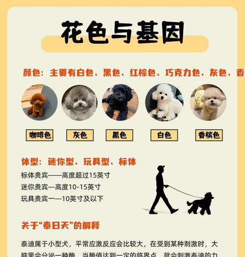 泰迪宝宝洗澡的最佳时间和方法（宝宝干净可爱，泰迪宝宝洗澡的秘密你知道吗？）
