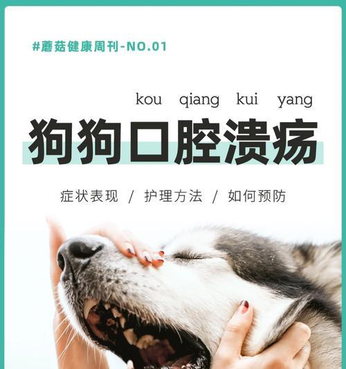 狗的口水细菌的存活能力及危害程度（探究狗口水中细菌的生存时间和对人类健康的潜在风险）