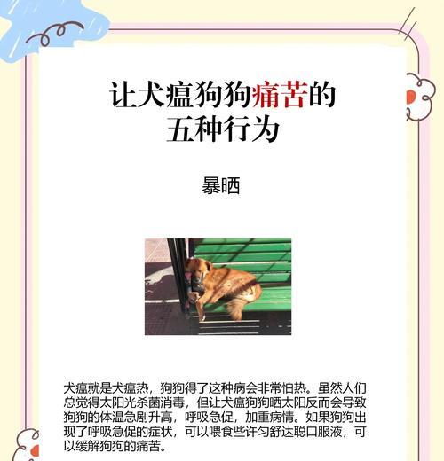 狗瘟初期治疗所需时间揭秘（初期治疗周期与关键因素分析）