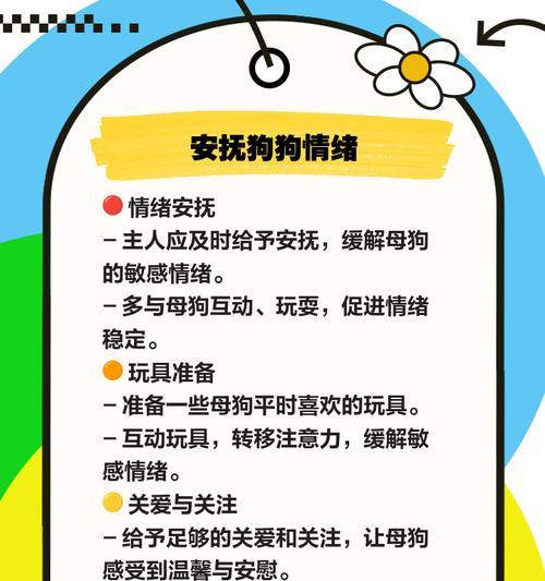 小狗不拉屎怎么办？3个帮助狗狗排便的措施！（为您的宠物提供排便帮助，让您和您的小狗狗都更快乐！）