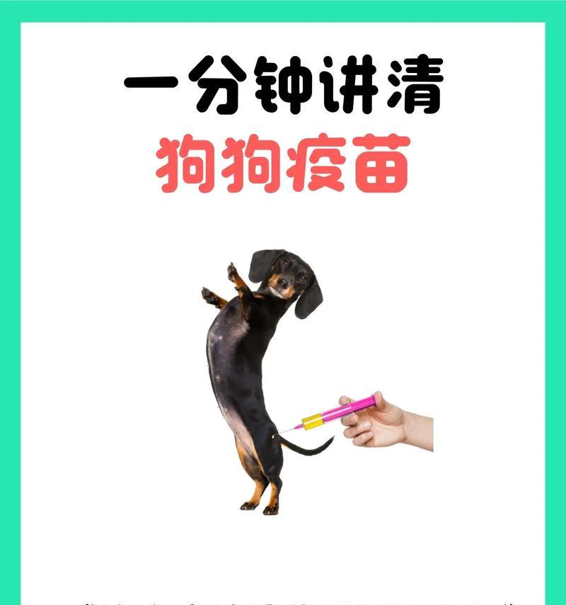 狗狗育苗的必要性与注意事项（保护狗狗健康，育苗须知一览）