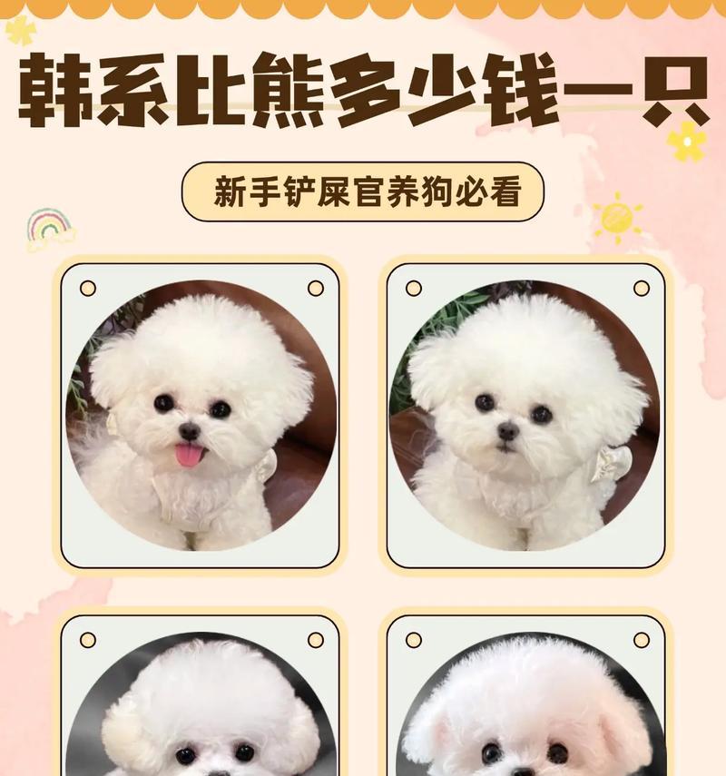 狗的丰富种类与独特特征（从熊到狗，探索动物界的多样性）