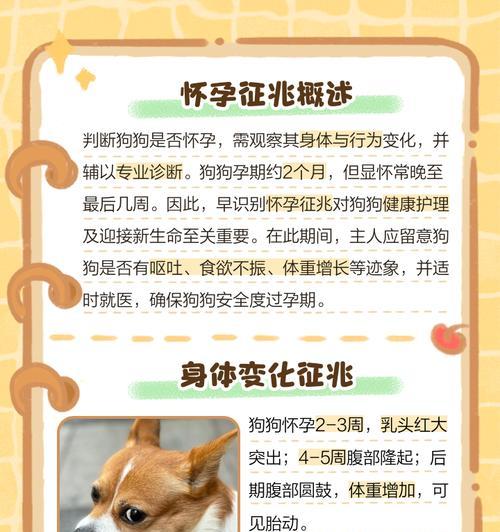 小狗怀孕20天的常见症状及护理要点（了解小狗怀孕20天的变化，为健康母婴做准备）