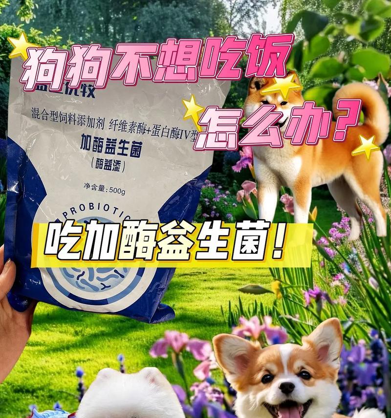 狗狗益生菌（了解狗狗益生菌的重要性及其对宠物健康的影响）