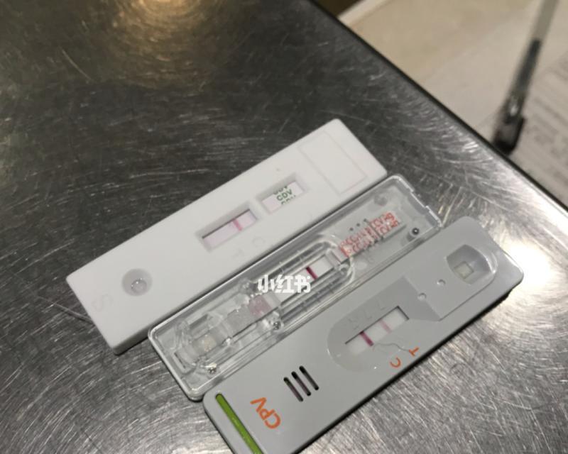 小狗细小问题解答（了解小狗细小疾病的治疗和预防措施）