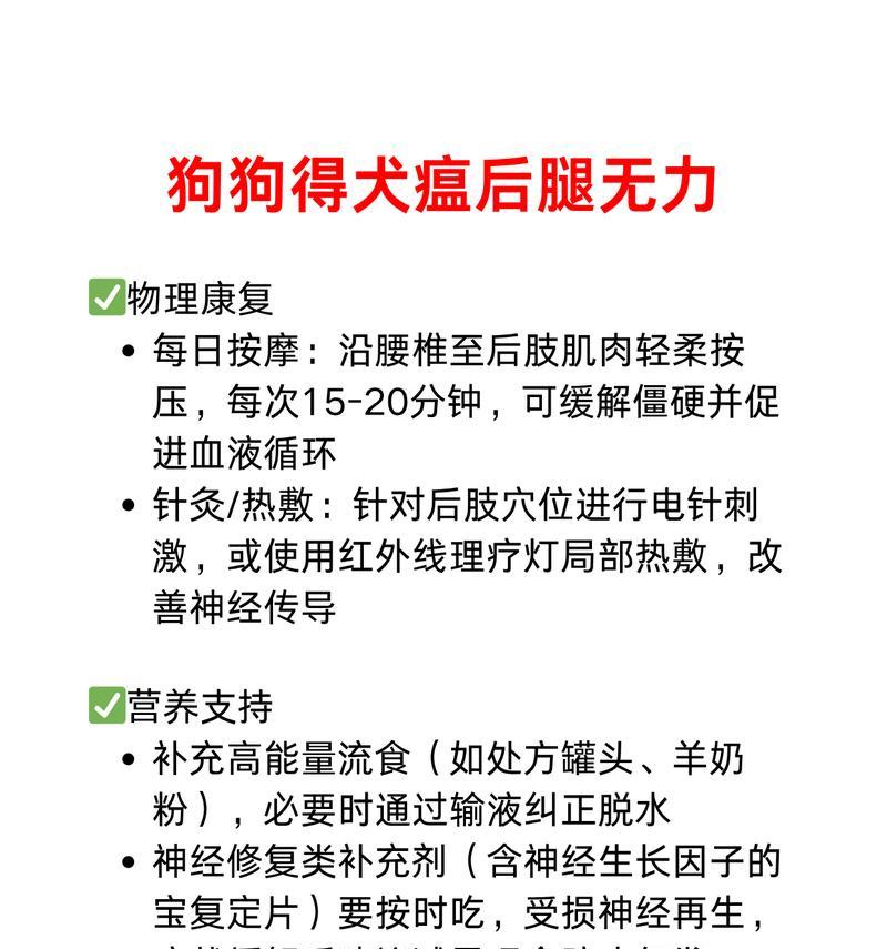 狗温的恢复时间有多久？（探究狗狗温恢复的时间周期和关键因素）